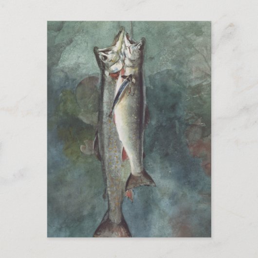 2マス ポストカード (正面)