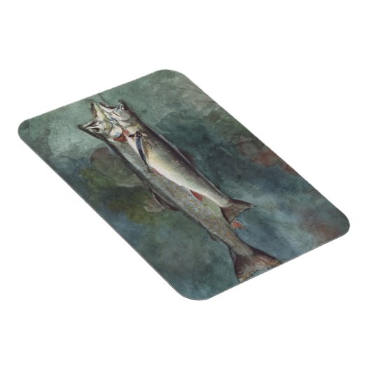 2マス マグネット (右側)