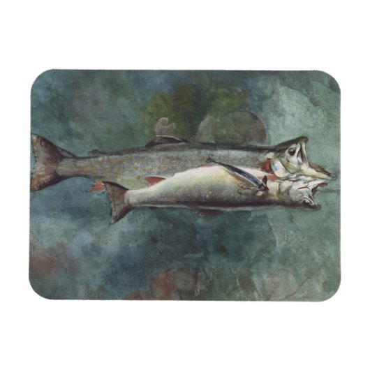 2マス マグネット (横)