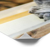 2リトル・レムルス ポスター (角)