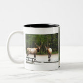 2ロッキーマウンテンエルク ツートーンマグカップ (左)