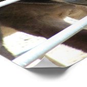 2ロバネアットジャッカロプサンタフェNM ポスター (角)