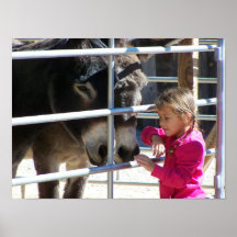 2ロバネアットジャッカロプサンタフェNM