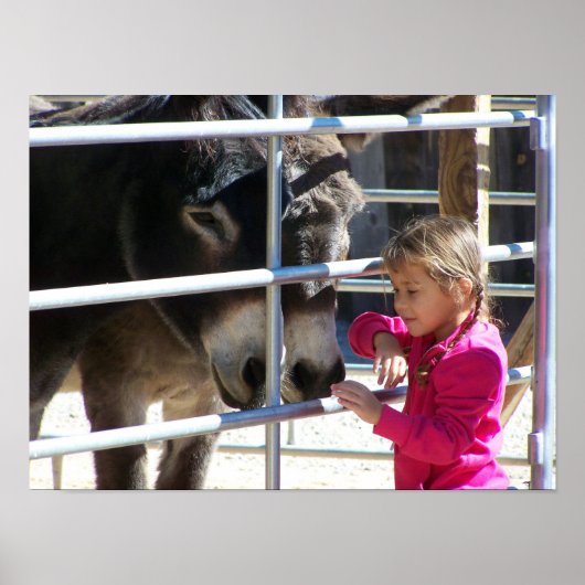 2ロバネアットジャッカロプサンタフェNM ポスター (正面)