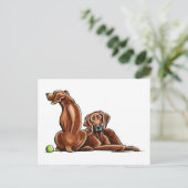 2ローデシアンのリッジバック ポストカード (スタンド正面)