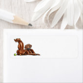 2ローデシアンのリッジバック ラベル (インサイチュ)