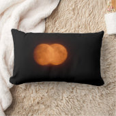 2ヶ月 ランバークッション (ブランケット)