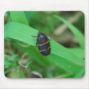 2並べられたspittleの虫のmousepad マウスパッド
