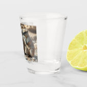 2人のオーストラリア人のロッツネストがイランドクカースだ。 ショットグラス (右)