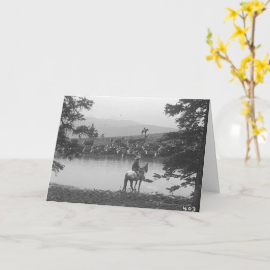 2人のカウボーイが付いている池による牛 カード (黄色い花)