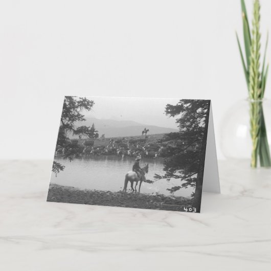 2人のカウボーイが付いている池による牛 カード (正面)