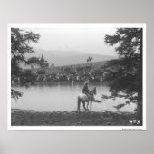 2人のカウボーイと池の牛。 ポスター (正面)