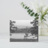 2人のカウボーイと池の牛。 ポストカード (スタンド正面)