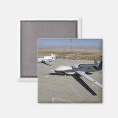 2人のグローバルタカがランプに止まっている マグネット (正面/裏面)