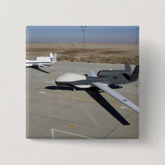 2人のグローバルタカがランプに止まっている 缶バッジ (正面)