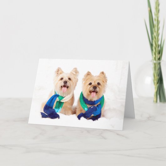 2人のケアーン・テリアのクリスマスカード シーズンカード (正面)