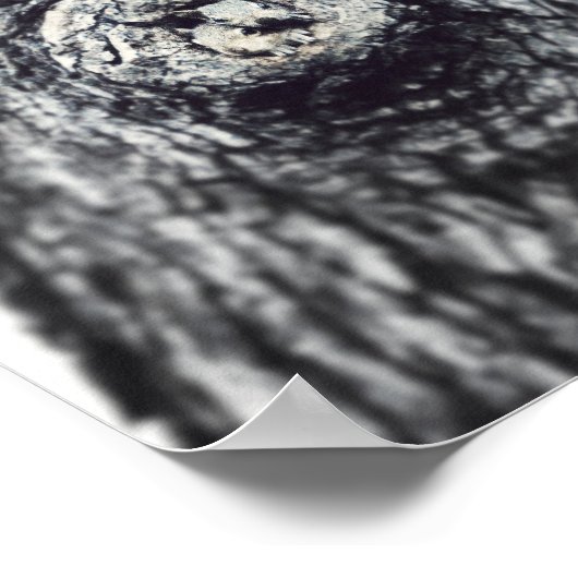 2人のベビーリスが野生動物の写真を覗き見る ポスター (角)