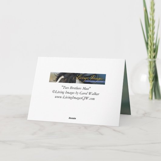 2人の兄弟が会う – ワイルドホースグリーティングカード カード (裏面)