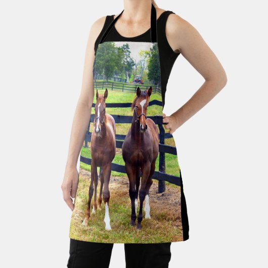 2人の友人 エプロン (インサイチュ)