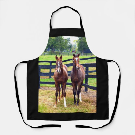 2人の友人 エプロン (正面)