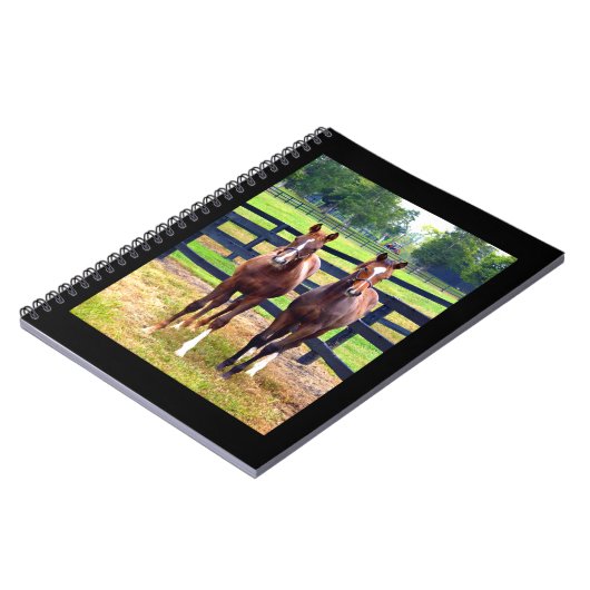 2人の友人 ノートブック (左側)