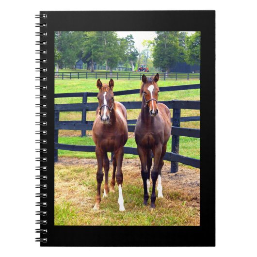 2人の友人 ノートブック (正面)