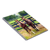 2人の友人 ノートブック (右側)