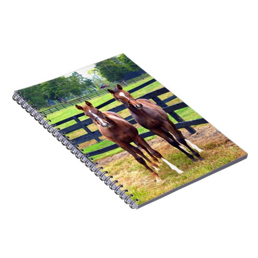 2人の友人 ノートブック (右側)