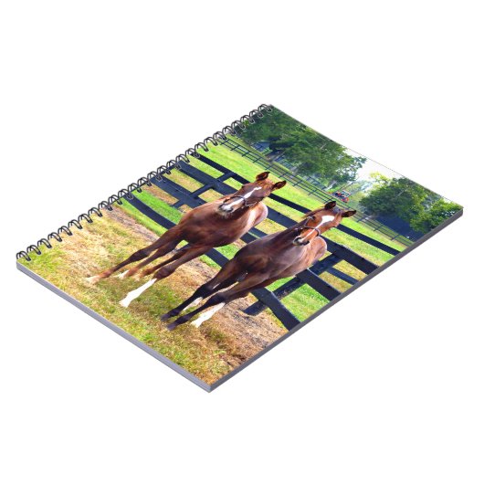 2人の友人 ノートブック (左側)