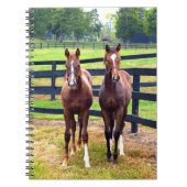 2人の友人 ノートブック (正面)