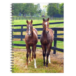 2人の友人 ノートブック