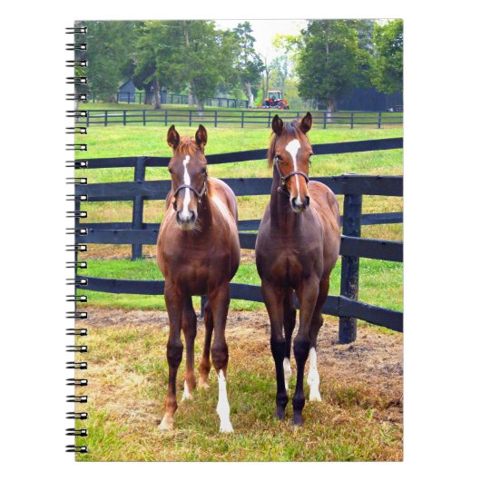 2人の友人 ノートブック (正面)