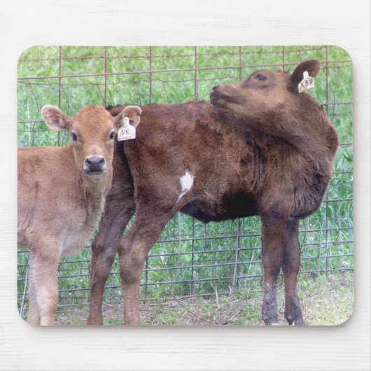 2人の小さな雌牛 マウスパッド (正面)