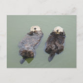 2人の海水浴が昼寝を取る ポストカード (正面)