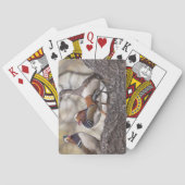 2人の男性が雌のオシドリを探している トランプ (裏面)