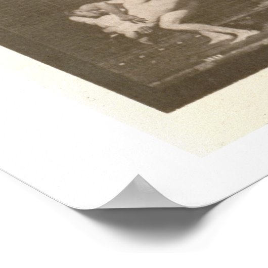 2人の男性レスリング、プレート347から'動物の移動 ポスター (角)