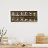 2人の男性レスリング、プレート347から'動物の移動 ポスター (キッチン)