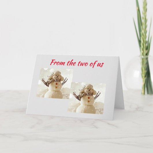 「2人の米国」のホリデーカードからの願い シーズンカード (正面)