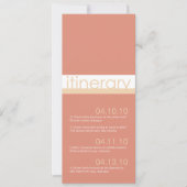 2人の花嫁のための日程発表 招待状 (正面)