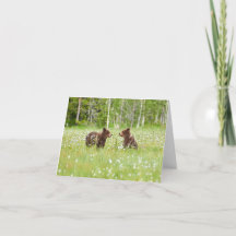 2人の若い茶色のクマの友人はグリーティングカードを折った