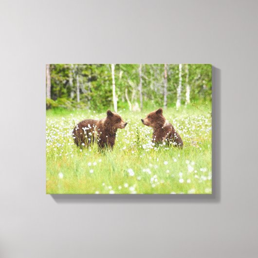 2人の若い茶色のクマの友人 キャンバスプリント (正面)