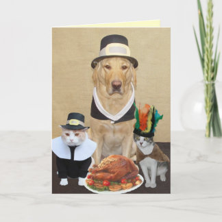 2人の賛美された巡礼者及び責任者 シーズンカード