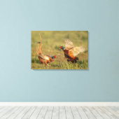 2人の雄のリング首のキジが戦う。 キャンバスプリント (インサイチュ (ウッドフロア))