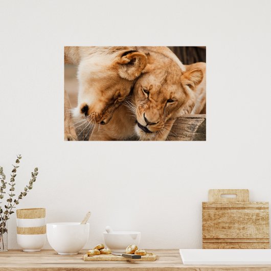2人の雌ライオン ポスター (キッチン)