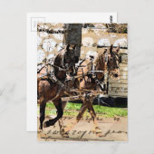 2人の馬チームの混合メディアコラージュ ポストカード (正面/裏面)