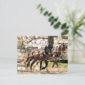 2人の馬チームの混合メディアコラージュ ポストカード (スタンド正面)