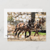 2人の馬チームの混合メディアコラージュ ポストカード (正面/裏面)