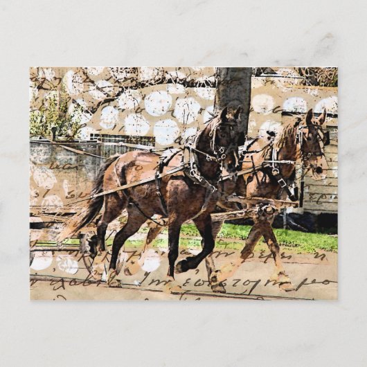 2人の馬チームの混合メディアコラージュ ポストカード (正面)