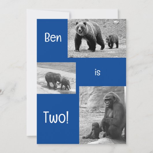 2人組の動物園の誕生日パーティーへの招待 招待状 (正面)