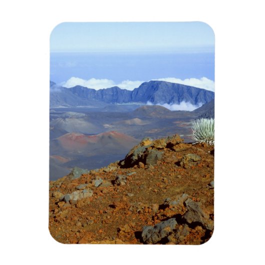 2付近からヘレアカラ火口縁のシルバーソード マグネット (縦)